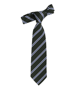 TANNAT - SATIN TIE